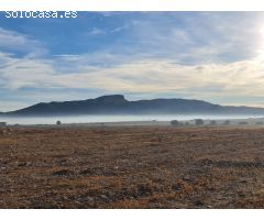 Parcela en Venta en Monovar - Monover, Alicante