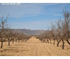 Parcela en Venta en Yecla, Murcia