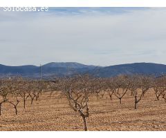 Parcela en Venta en Yecla, Murcia