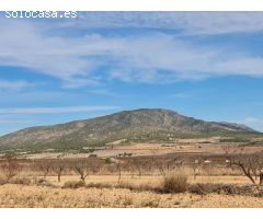 Parcela en Venta en Yecla, Murcia