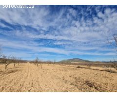 Parcela en Venta en Yecla, Murcia