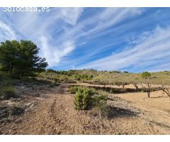 Parcela en Venta en Yecla, Murcia