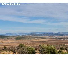 Parcela en Venta en Yecla, Murcia