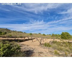 Parcela en Venta en Yecla, Murcia