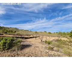 Parcela en Venta en Yecla, Murcia