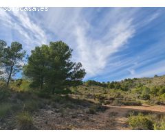 Parcela en Venta en Yecla, Murcia