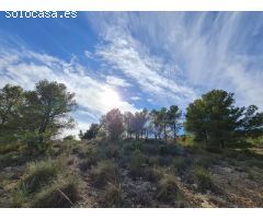Parcela en Venta en Yecla, Murcia