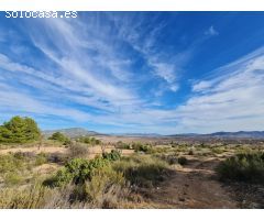 Parcela en Venta en Yecla, Murcia