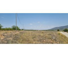 Parcela en Venta en Yecla, Murcia