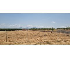 Parcela en Venta en Yecla, Murcia
