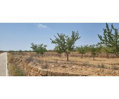 Parcela en Venta en Yecla, Murcia