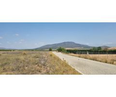 Parcela en Venta en Yecla, Murcia