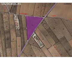 Parcela en Venta en Yecla, Murcia