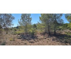 Parcela en Venta en Monovar - Monover, Alicante