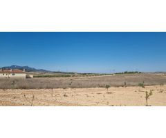 Parcela en Venta en Jumilla, Murcia