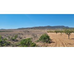 Parcela en Venta en Jumilla, Murcia