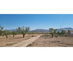 Parcela en Venta en Abanillas, Murcia