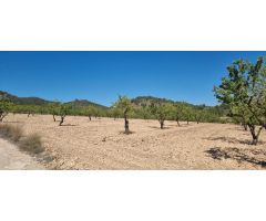 Parcela en Venta en Abanillas, Murcia