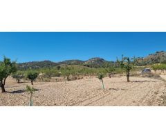 Parcela en Venta en Abanillas, Murcia
