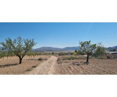 Parcela en Venta en Abanillas, Murcia