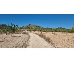 Parcela en Venta en Abanillas, Murcia