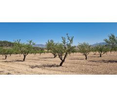 Parcela en Venta en Abanillas, Murcia