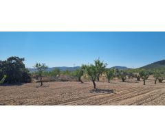 Parcela en Venta en Abanillas, Murcia