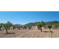 Parcela en Venta en Abanillas, Murcia