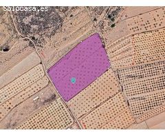 Parcela en Venta en Pinoso, Alicante