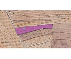 Parcela en Venta en Pinoso, Alicante