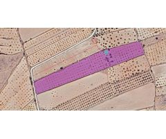 Parcela en Venta en Pinoso, Alicante