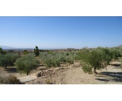 Parcela en Venta en Abanillas, Murcia