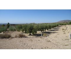Parcela en Venta en Abanillas, Murcia