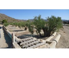Parcela en Venta en Abanillas, Murcia