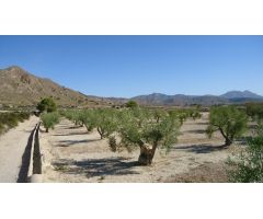 Parcela en Venta en Abanillas, Murcia
