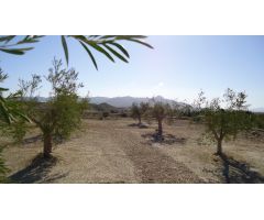 Parcela en Venta en Abanillas, Murcia