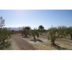 Parcela en Venta en Abanillas, Murcia