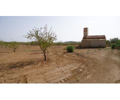 Parcela en Venta en Jumilla, Murcia