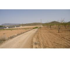 Parcela en Venta en Jumilla, Murcia
