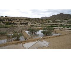 Parcela en Venta en Abanillas, Murcia