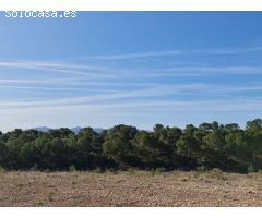 Parcela en Venta en Yecla, Murcia