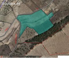 Parcela en Venta en Yecla, Murcia