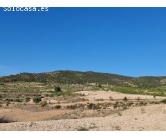 Parcela en Venta en Yecla, Murcia