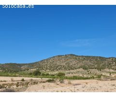 Parcela en Venta en Yecla, Murcia