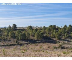 Parcela en Venta en Yecla, Murcia