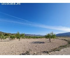 Parcela en Venta en Yecla, Murcia