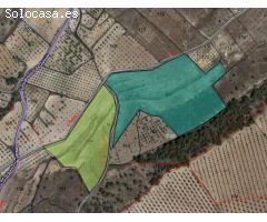 Parcela en Venta en Yecla, Murcia
