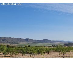 Parcela en Venta en Yecla, Murcia