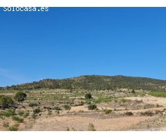 Parcela en Venta en Yecla, Murcia
