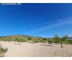 Parcela en Venta en Yecla, Murcia